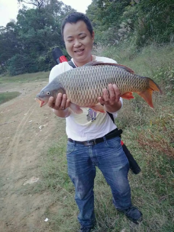 迷路的男人的第一张照片--霞浦交友网