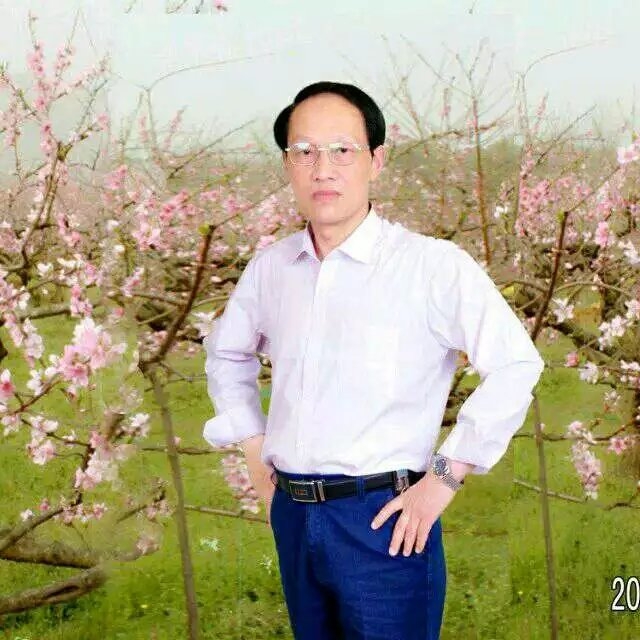 枫叶的第一张照片--霞浦交友网